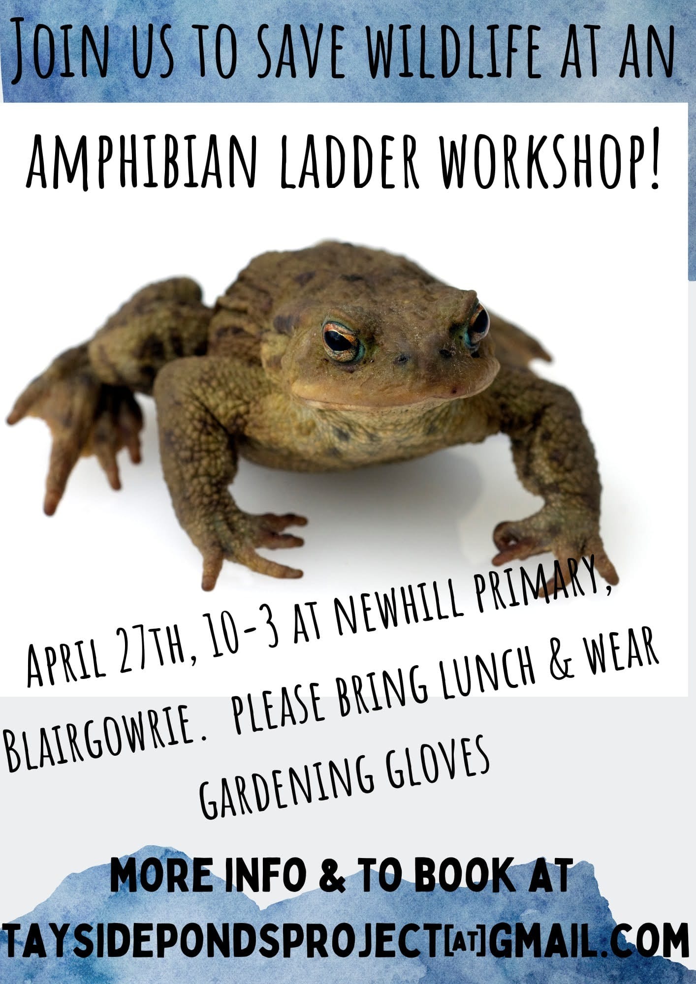 Amphibian Ladder Workshop