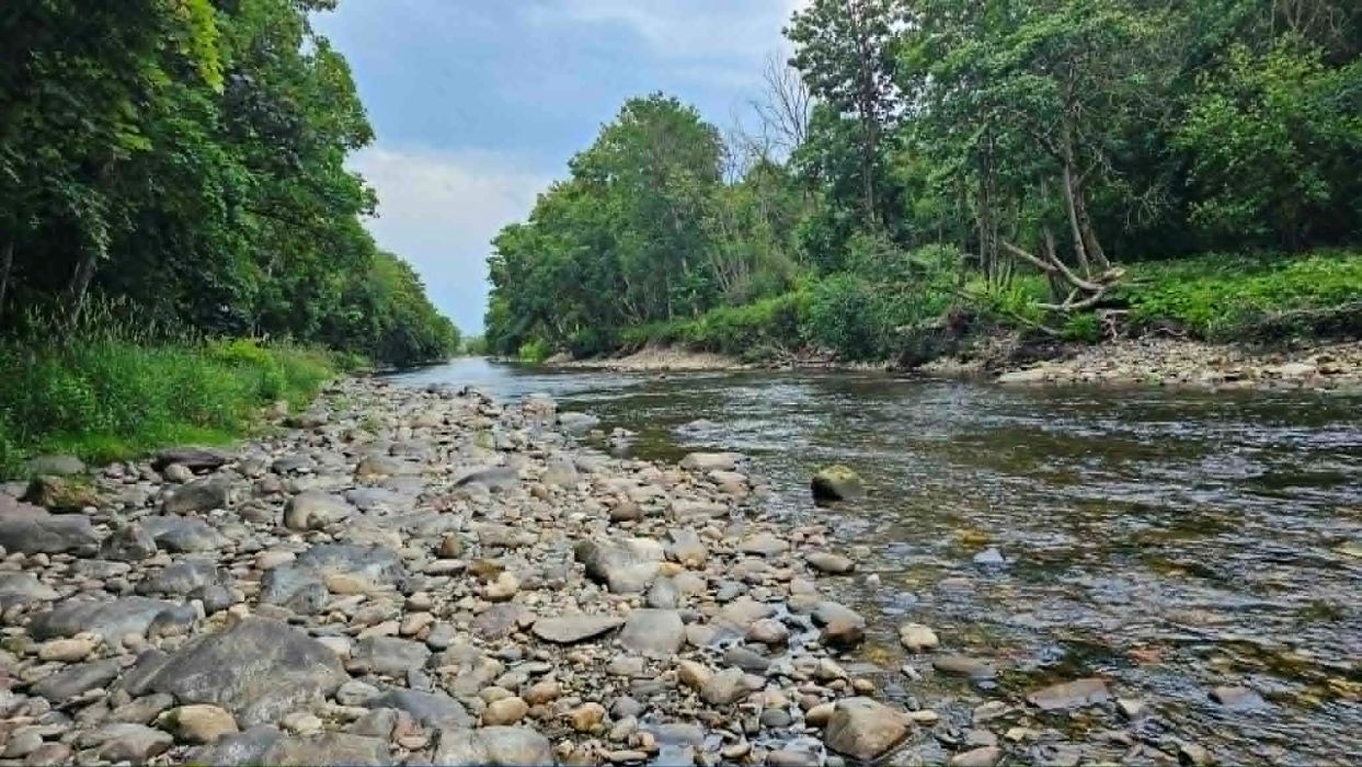 Looking down river Ericht