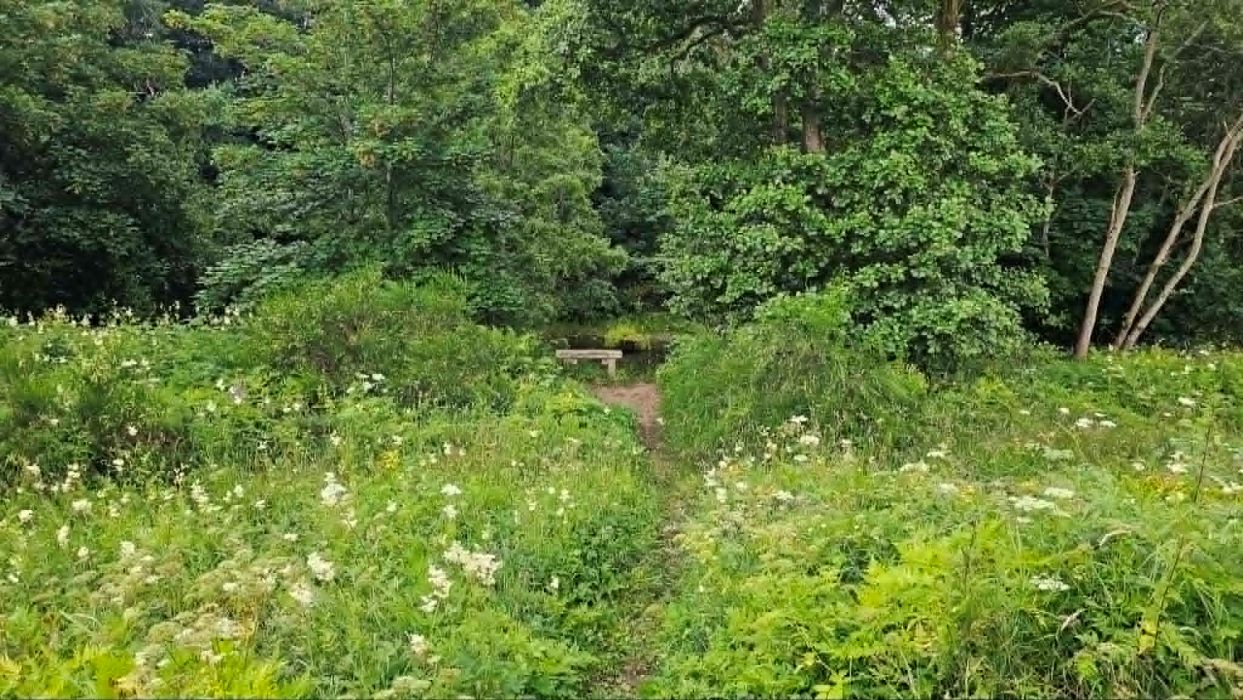 viewing-bench-at-river-ericht