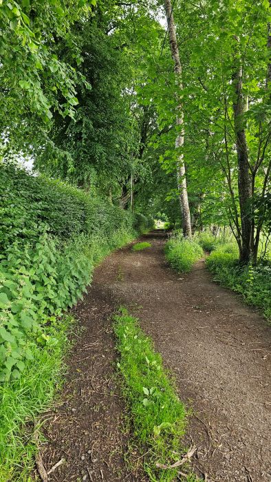 Walk along the country lane 