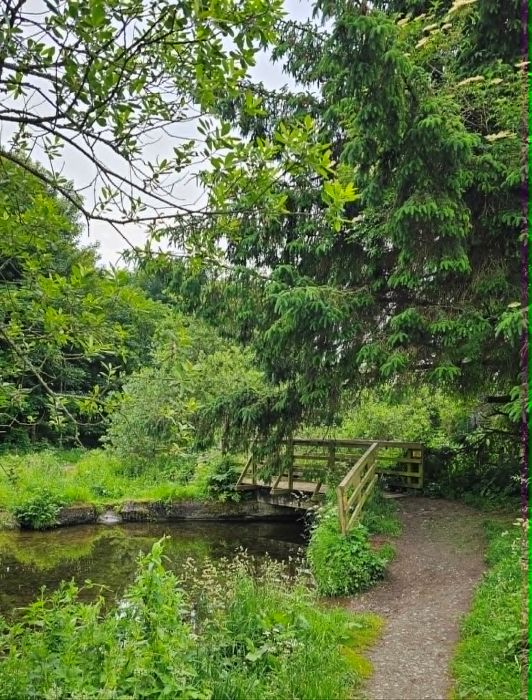 Cross the small bridge