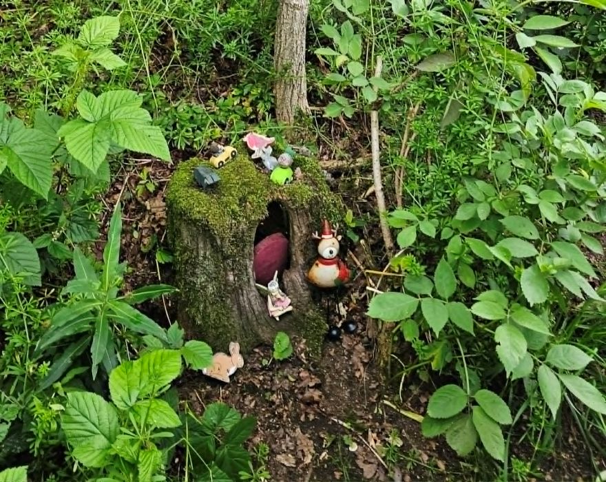 Walk round the right hand path of Darroch Wood