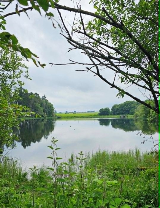 see the loch appear at your side