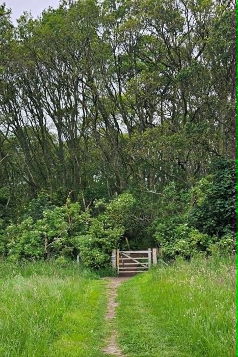 walk the path between the fields 