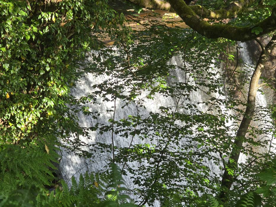 Lornty Burn Weir
