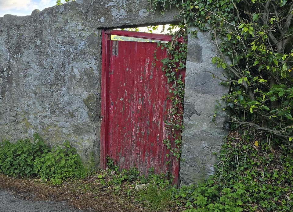The Red Door