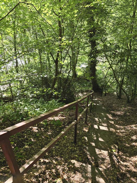 Steps down to Oakbank Road