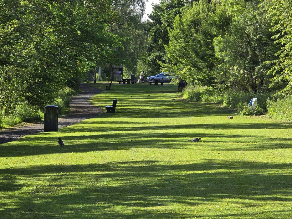 Riverside - grass area