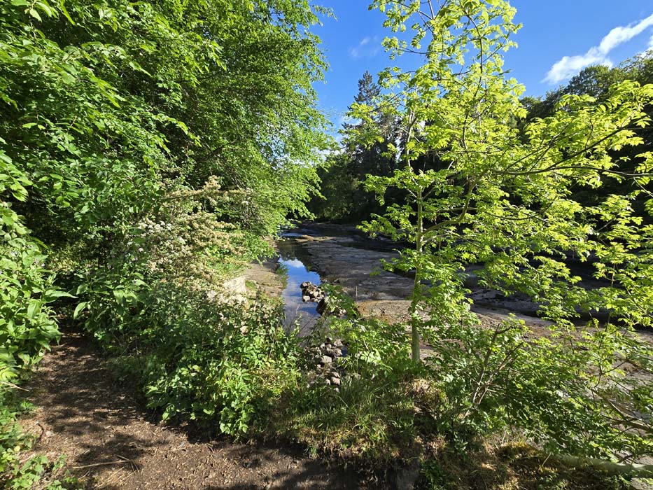 Riverside - bottom of Oakbank Steps
