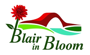 Blair in Bloom